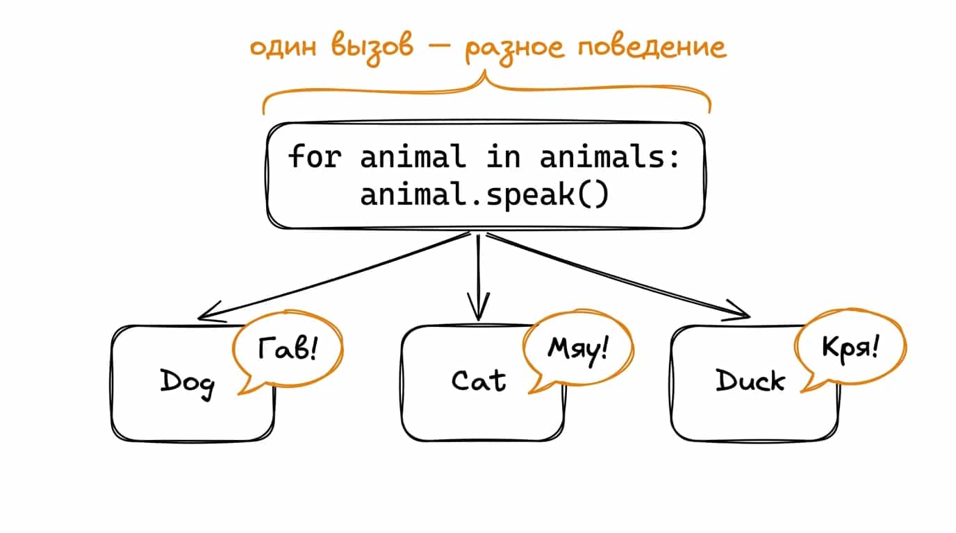 Иллюстрация: цикл for animal in animals: animal.speak() в центре, от него три стрелки к трём объектам — Dog (выдаёт Гав!), Cat (выдаёт Мяу!), Duck (выдаёт Кря!). Подпись наверху: один вызов, разное поведение